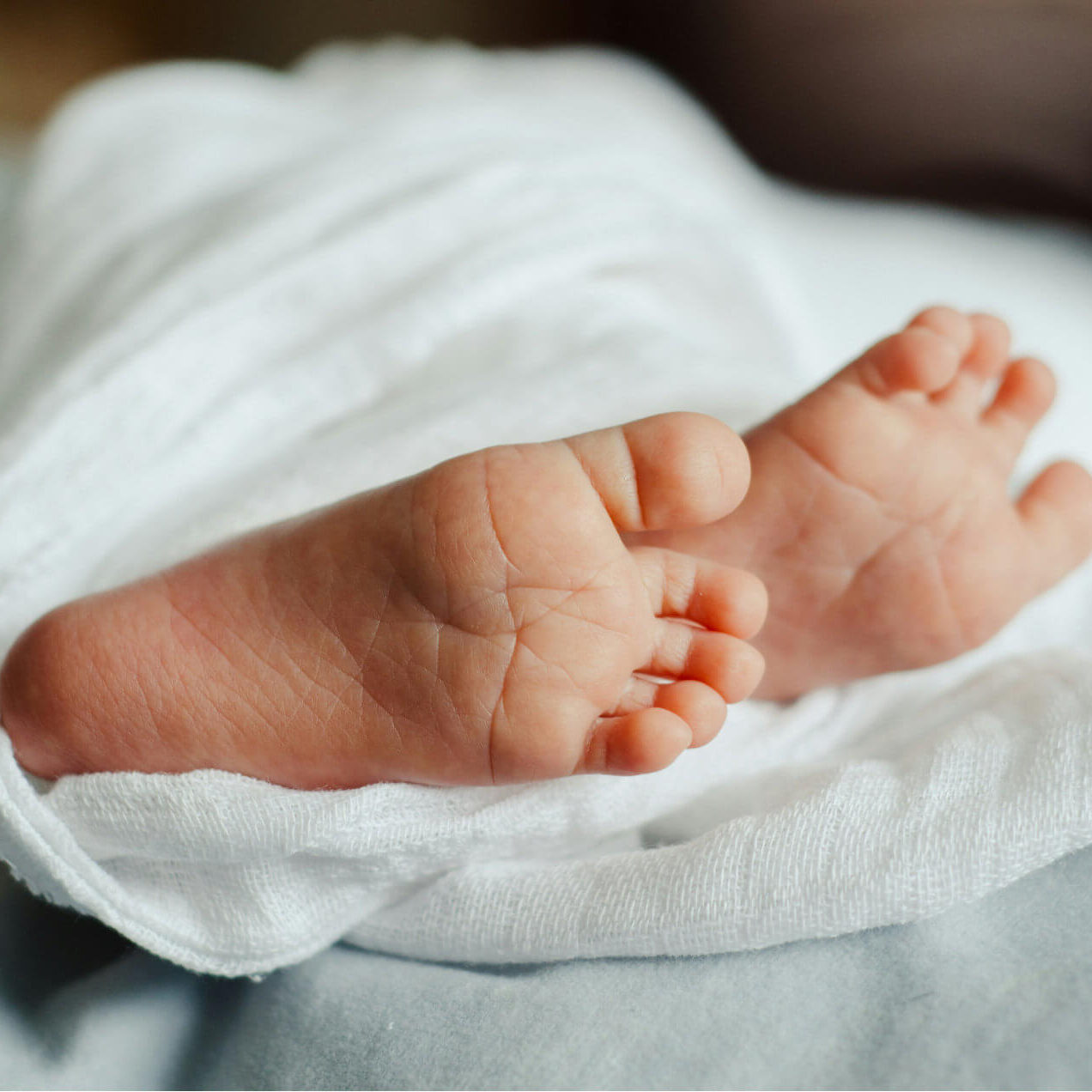 alina-ryabchenko-2h4B6n7A1Os-unsplash